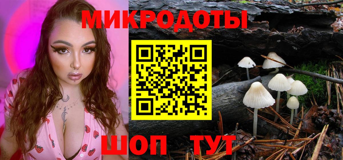 Псилоцибиновые грибы GOLDEN TEACHER Богданович